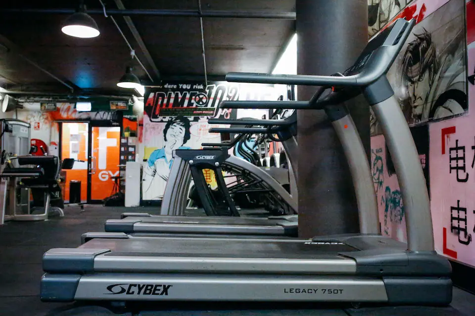 Cybex treadmills along the mural wall
