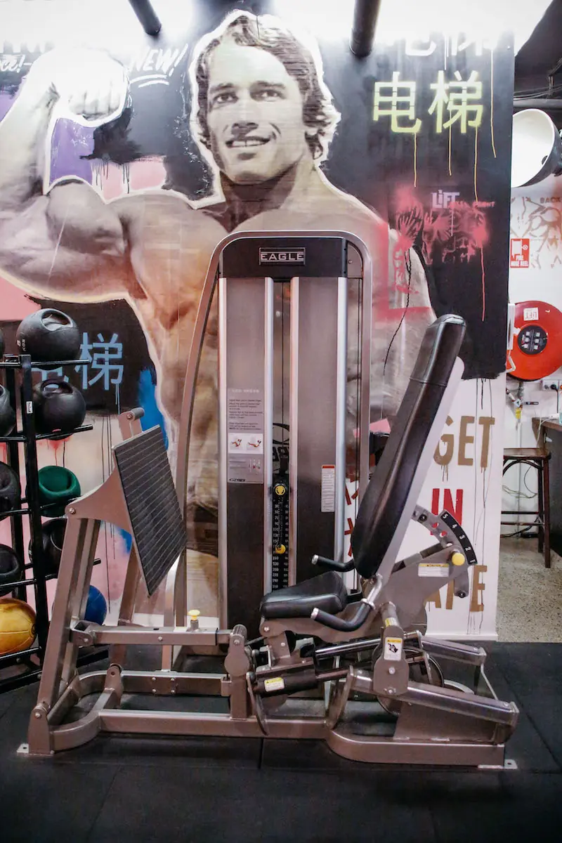 Pin-loaded machine in front of a bodybuilder mural